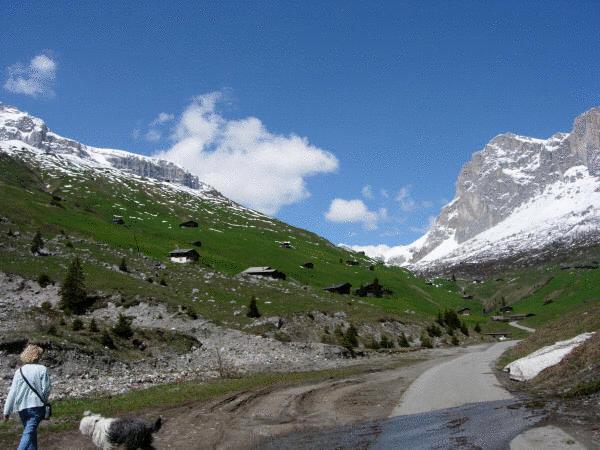 Hotel Madrisajoch Sankt Antönien المظهر الخارجي الصورة